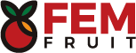 Fem Fruit | Frutas Frescas Premium de Tucumán